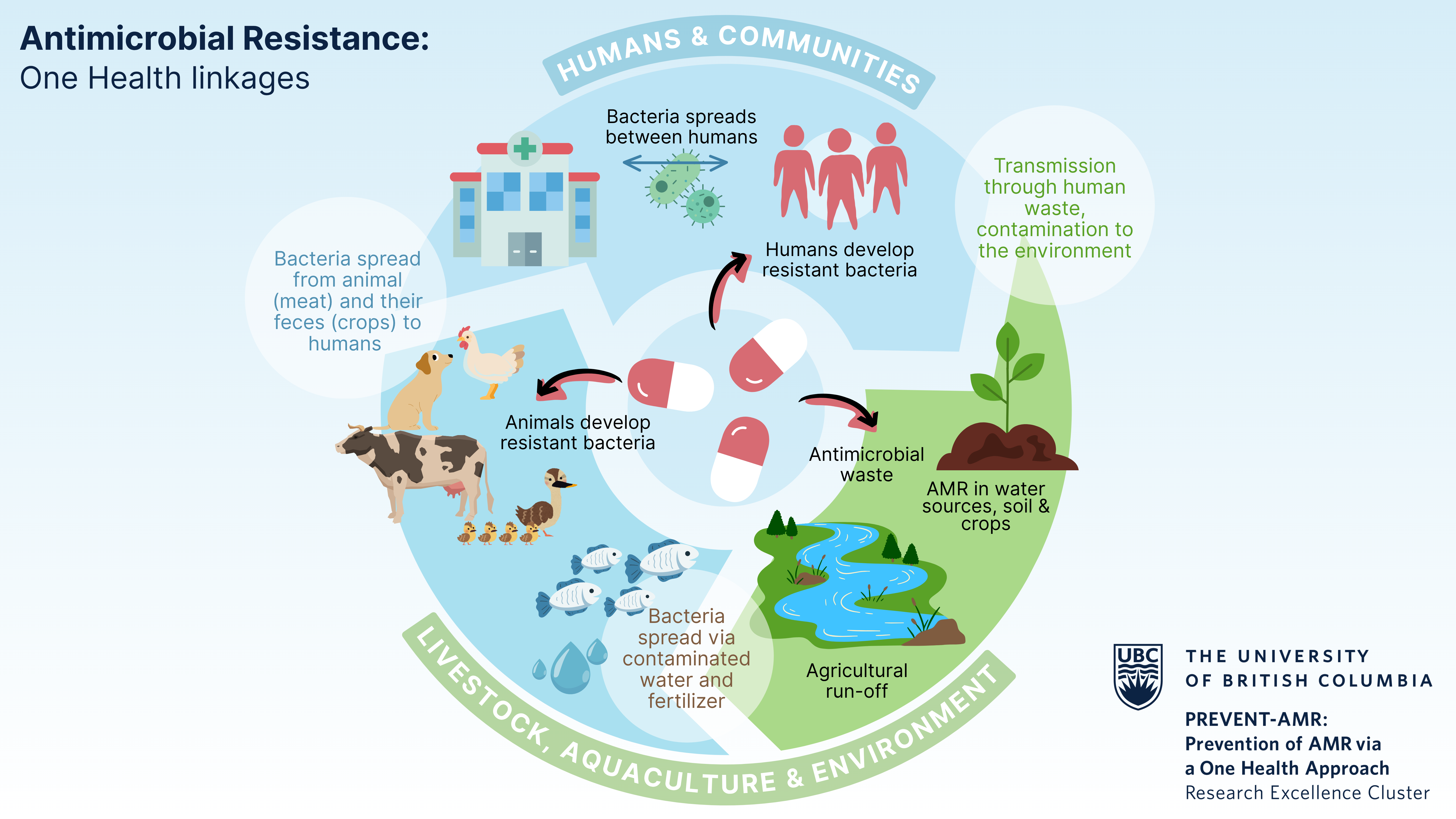 AMR One Health linkages